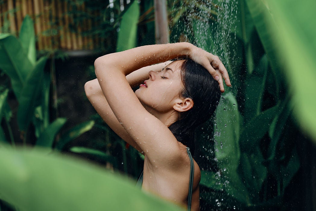 Everything Shower Nedir