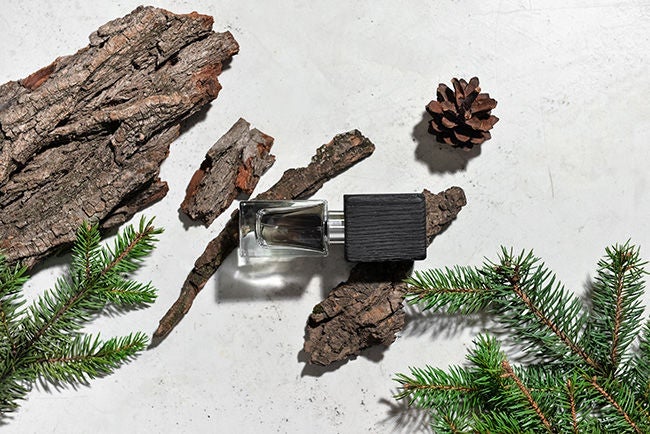 Odunsu Koku Nedir, Neye Benzer?-2